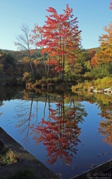 В гостях у Радуги. Клаксбург с лобстерами и хорошей погодой