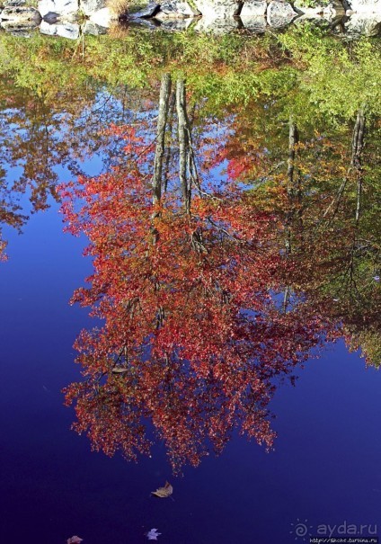 В гостях у Радуги. Клаксбург с лобстерами и хорошей погодой