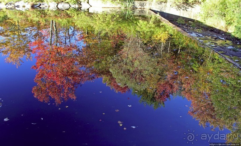 В гостях у Радуги. Клаксбург с лобстерами и хорошей погодой