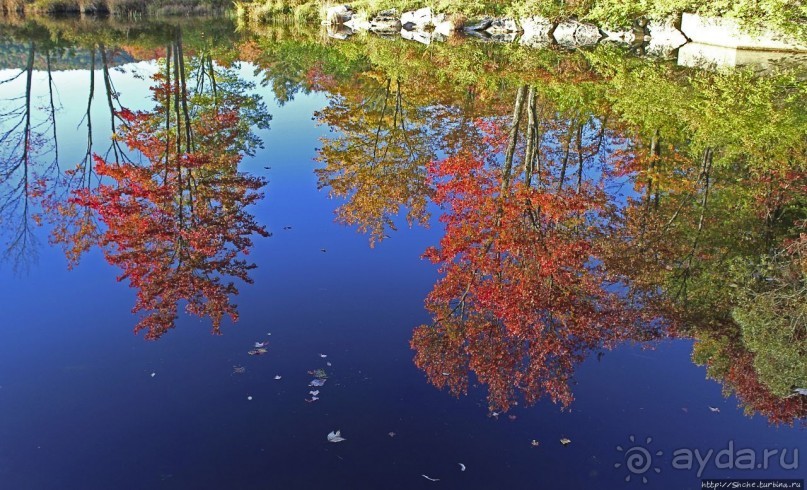 В гостях у Радуги. Клаксбург с лобстерами и хорошей погодой