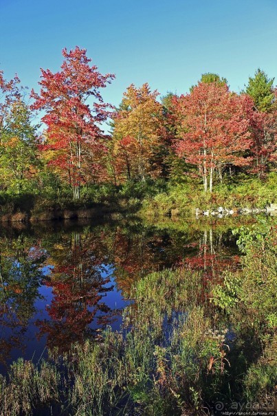 В гостях у Радуги. Клаксбург с лобстерами и хорошей погодой