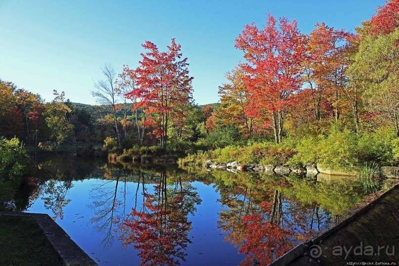 В гостях у Радуги. Клаксбург с лобстерами и хорошей погодой
