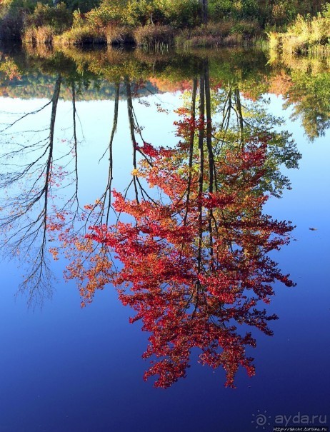 В гостях у Радуги. Клаксбург с лобстерами и хорошей погодой