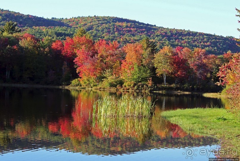 В гостях у Радуги. Клаксбург с лобстерами и хорошей погодой