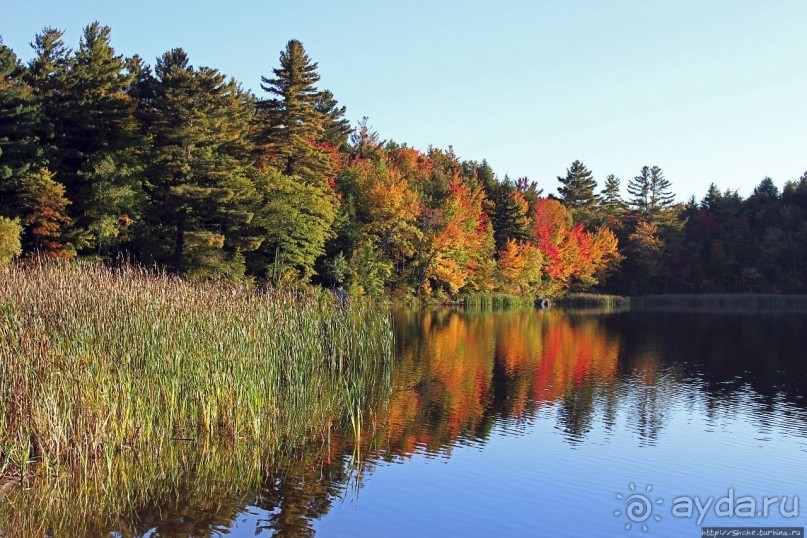 В гостях у Радуги. Клаксбург с лобстерами и хорошей погодой