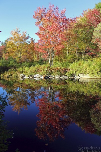 В гостях у Радуги. Клаксбург с лобстерами и хорошей погодой