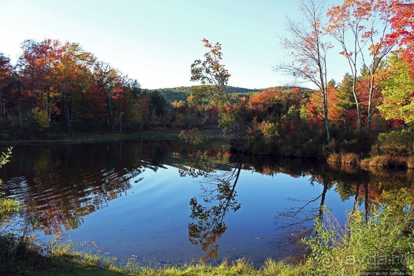 В гостях у Радуги. Клаксбург с лобстерами и хорошей погодой