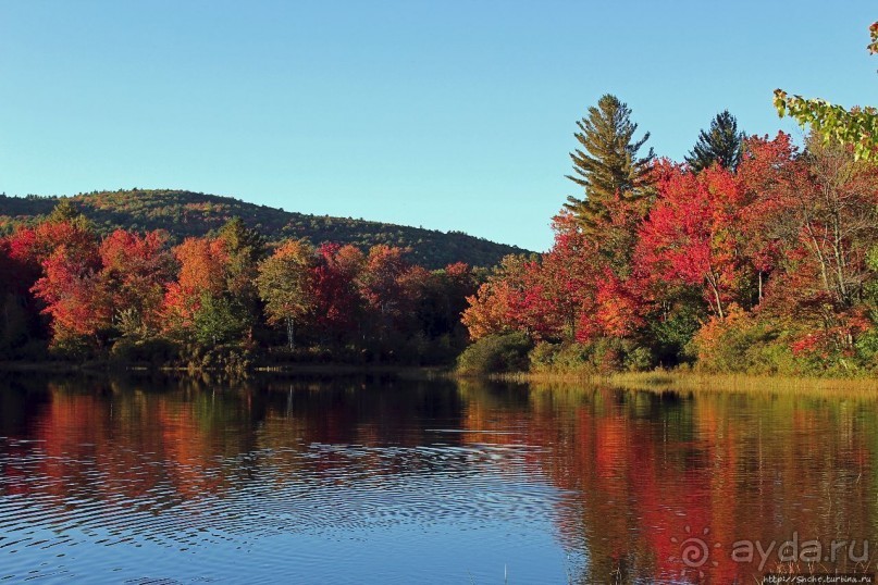 В гостях у Радуги. Клаксбург с лобстерами и хорошей погодой
