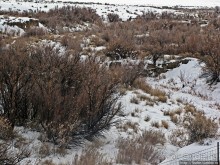 Альбом отзыва "По штату Юта зимою на авто. Въезжаем в Страну Каньонов"