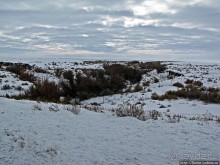 Альбом отзыва "По штату Юта зимою на авто. Въезжаем в Страну Каньонов"