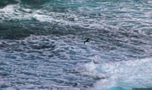 Красивейшая из легкодоступных достопримечательностей Сайпана