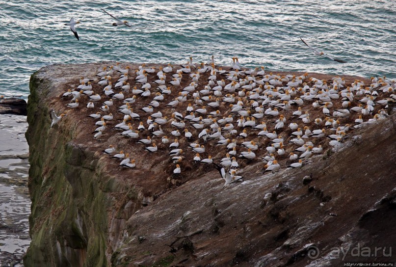 Красивейшая из легкодоступных достопримечательностей Сайпана