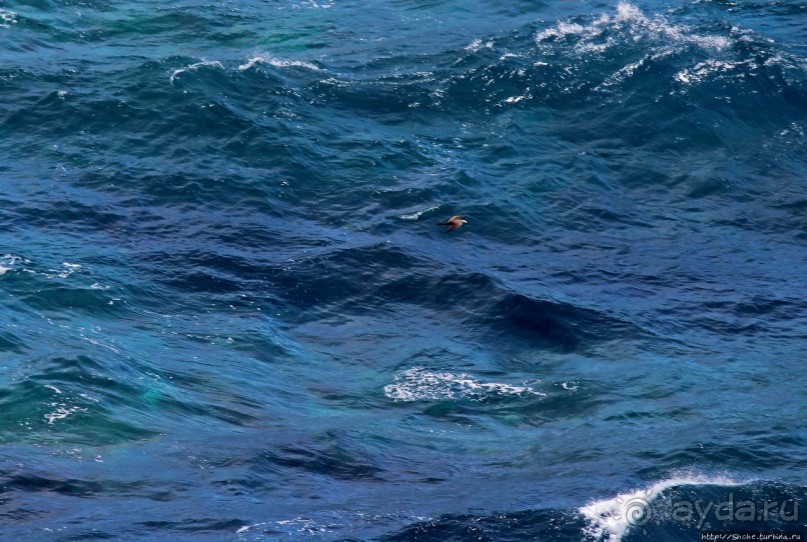 Красивейшая из легкодоступных достопримечательностей Сайпана