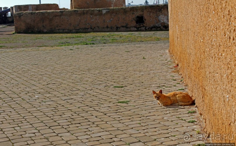 Мазарган — первая португальская крепость Западной Африки
