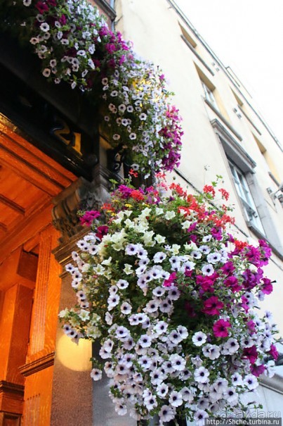 Эстетика ирландского общепита. Район "Temple bar"