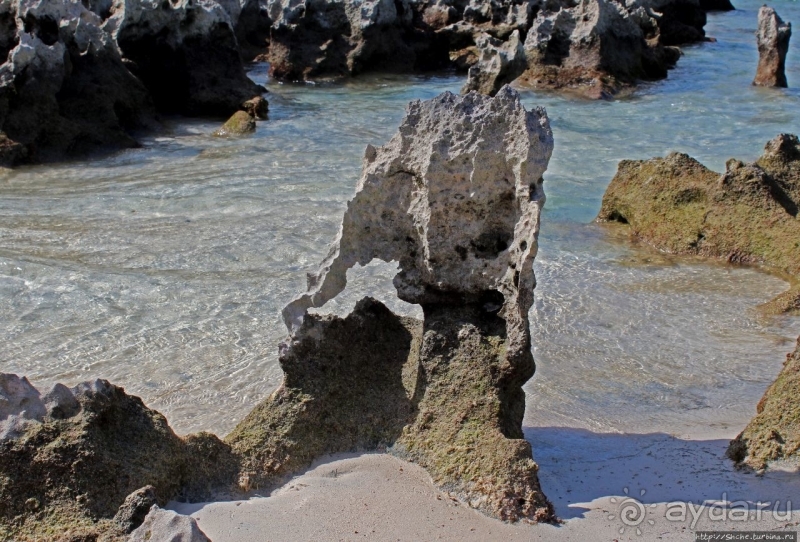 Пляж залива Гротто — для любителей разнообразия