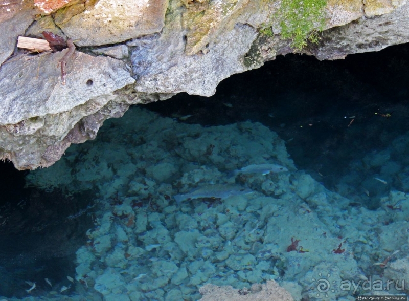 Пляж залива Гротто — для любителей разнообразия