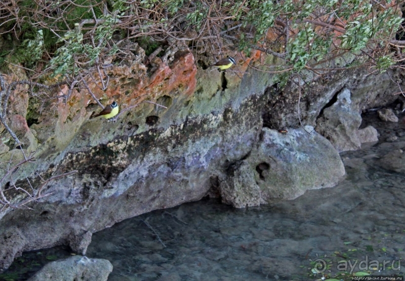 Пляж залива Гротто — для любителей разнообразия