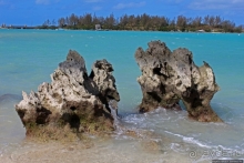 Пляж залива Гротто — для любителей разнообразия