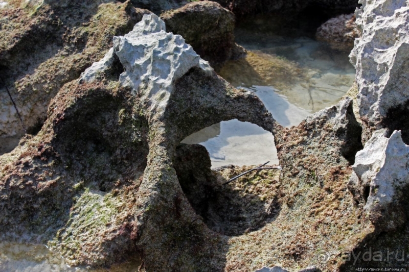 Пляж залива Гротто — для любителей разнообразия