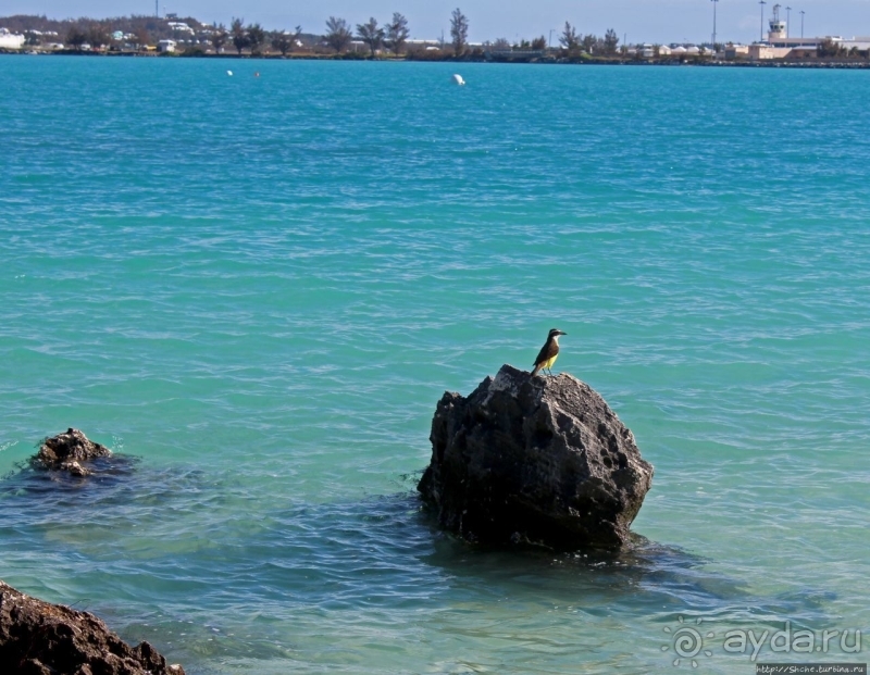 Пляж залива Гротто — для любителей разнообразия