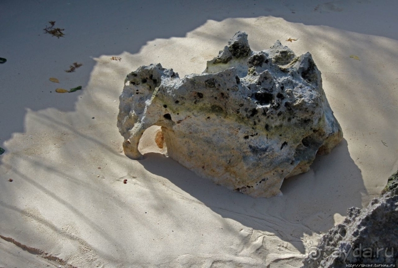 Пляж залива Гротто — для любителей разнообразия