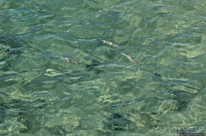 Пляж залива Гротто — для любителей разнообразия