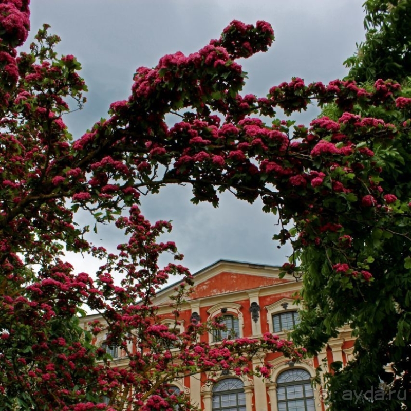 Дворцовый шедевр Бартоломео Растрелли для герцогов Курляндии