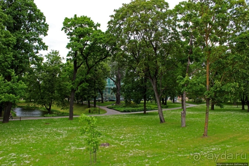 Дворцовый шедевр Бартоломео Растрелли для герцогов Курляндии