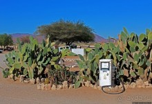 Альбом отзыва "Solitaire — захочешь, не проедешь"