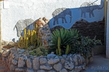 Альбом отзыва "Solitaire — захочешь, не проедешь"