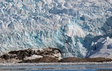 Ледничок-чок-чок ползет