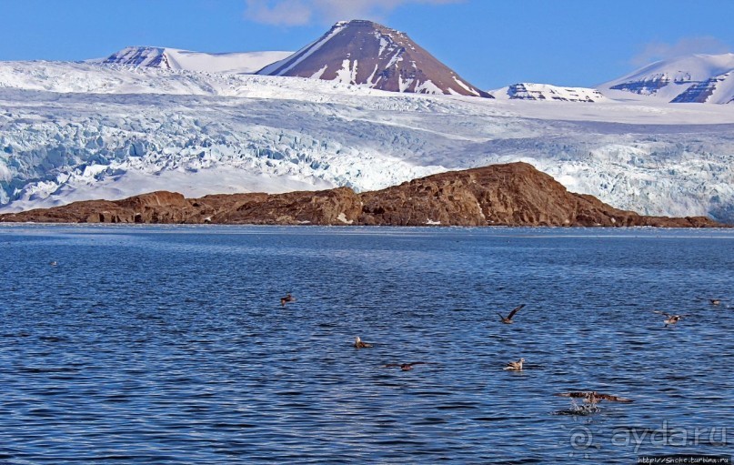 Ледничок-чок-чок ползет