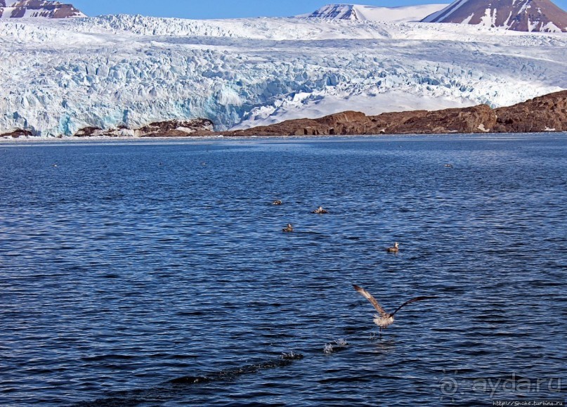 Ледничок-чок-чок ползет