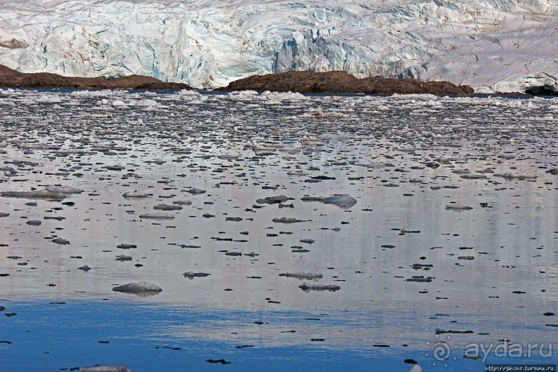 Ледничок-чок-чок ползет