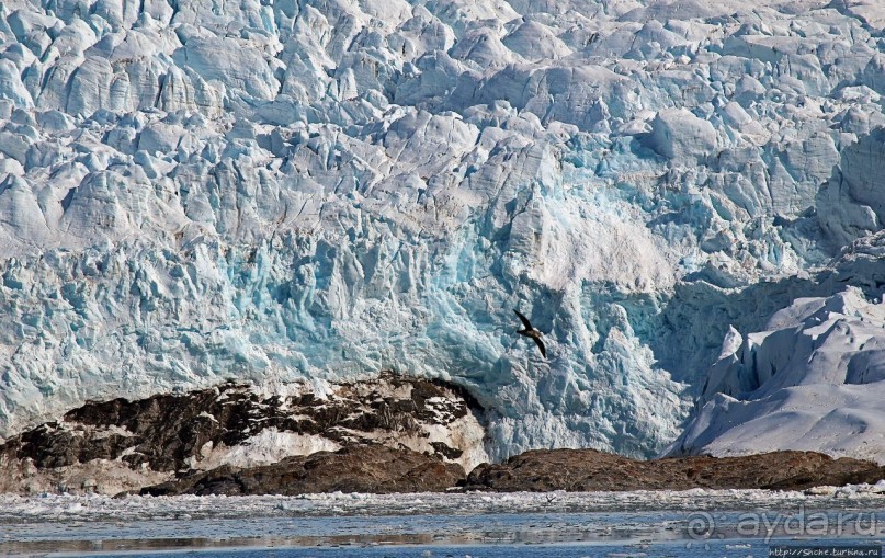 Ледничок-чок-чок ползет
