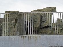 История и легенда озера Нури Гели в городском парке Батуми