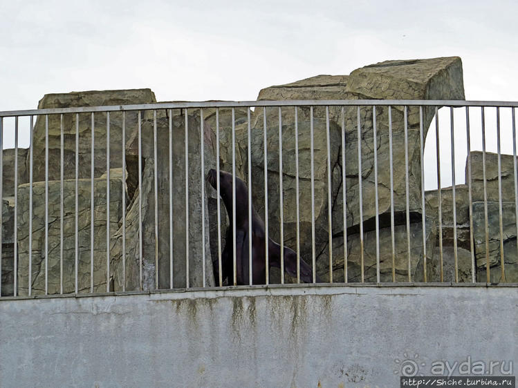 История и легенда озера Нури Гели в городском парке Батуми