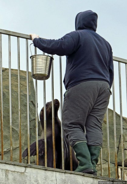 История и легенда озера Нури Гели в городском парке Батуми