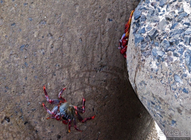 Воспоминания о Мадейре. Наше место под "солнцем"