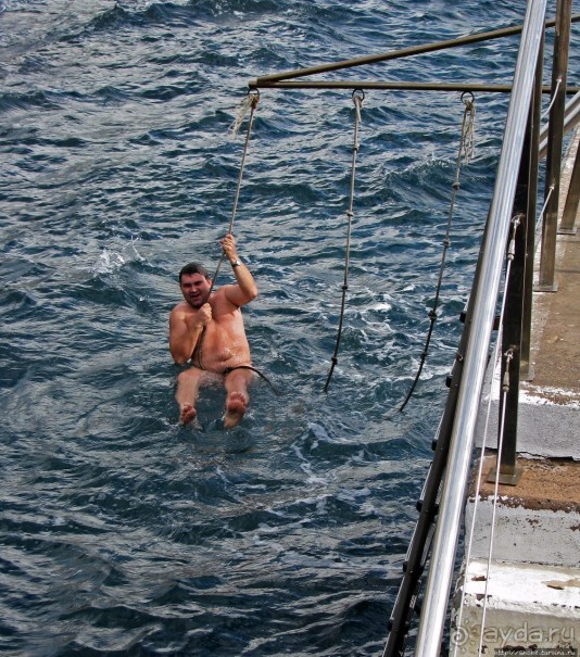 Воспоминания о Мадейре. Наше место под "солнцем"