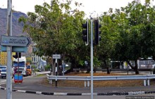 Набережная — самое цивильное место в столице Маврикия