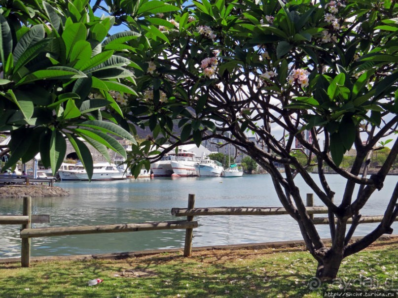 Набережная — самое цивильное место в столице Маврикия