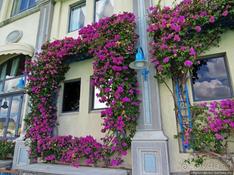 Набережная — самое цивильное место в столице Маврикия