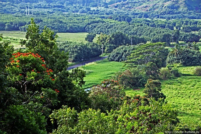 Север Кауаи, залив Ханалей — места для "дикого" отдыха