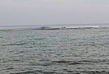 Север Кауаи, залив Ханалей — места для "дикого" отдыха