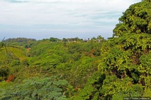 Север Кауаи, залив Ханалей — места для "дикого" отдыха