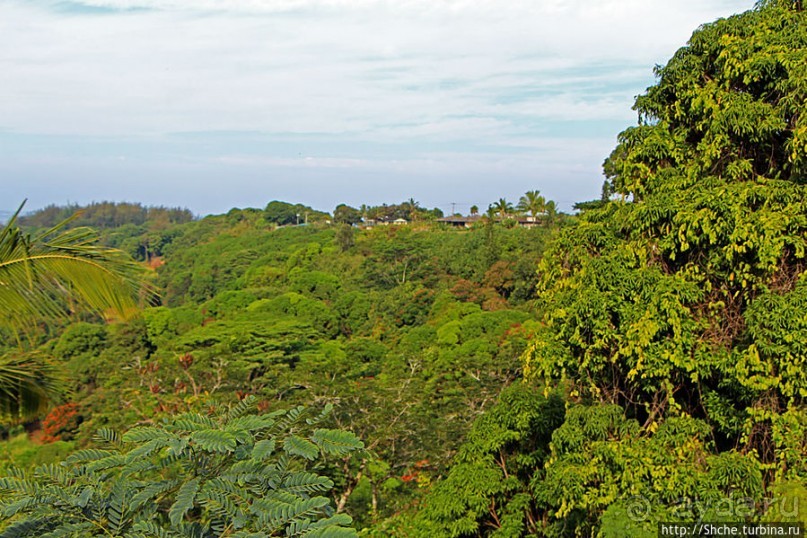 Север Кауаи, залив Ханалей — места для "дикого" отдыха