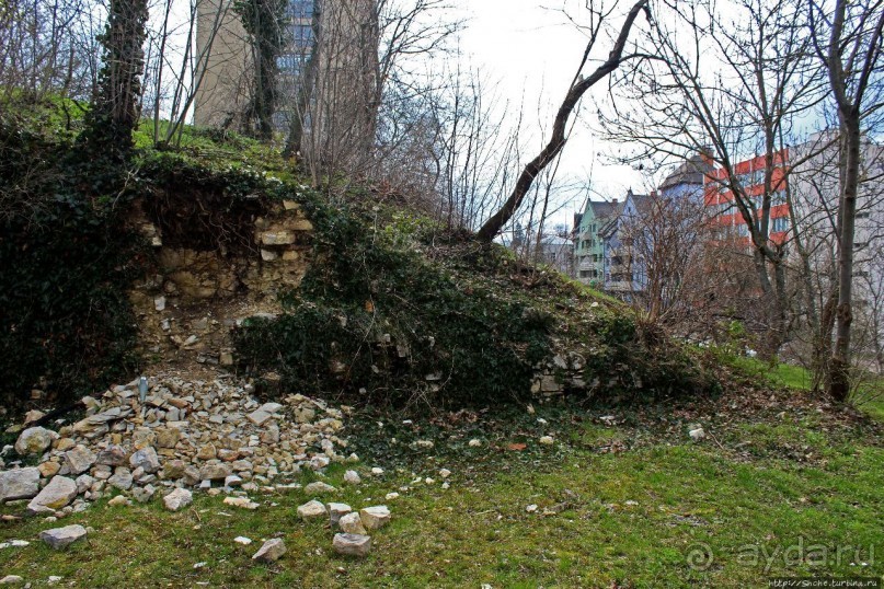 фото Веспрема