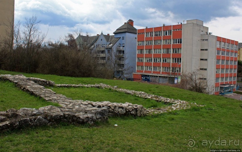 фото Веспрема